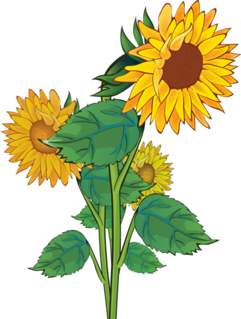 two sunflowers clip art