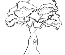 a black and white drawing of a tree