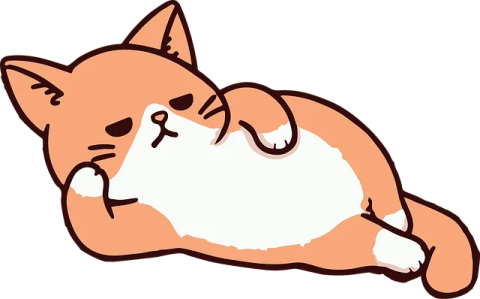 an orange and white cat laying on its back