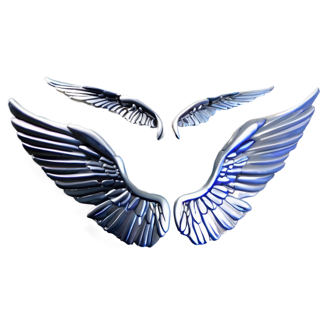a pair of wings on a white background