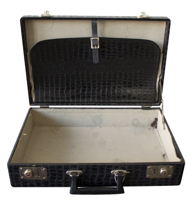 an old suitcase with a black crocodile skin