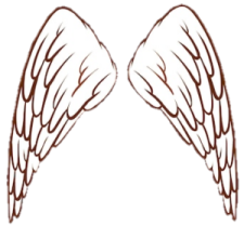 how to draw angel wings
