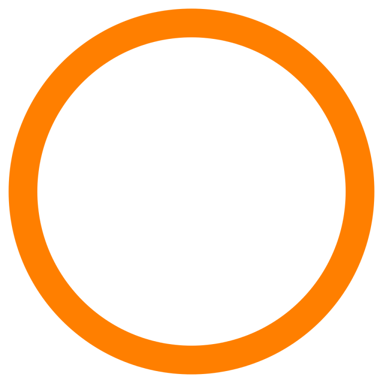 an orange circle on a white background