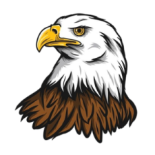 an eagle head with brown and white feathers