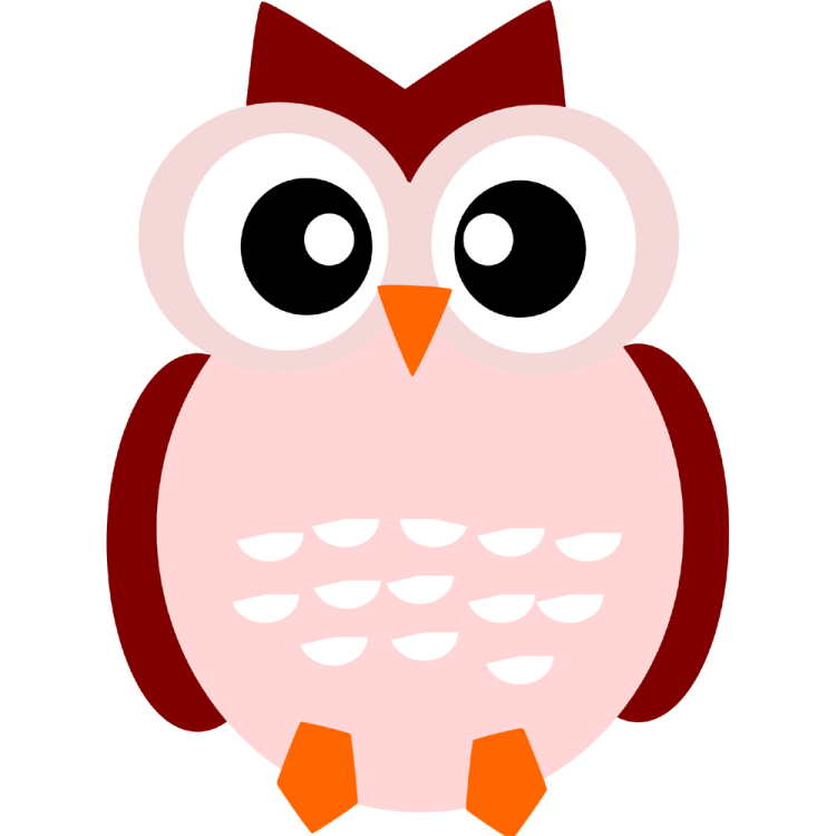 an owl with big eyes