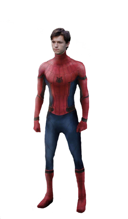 the amazing spider - man costume