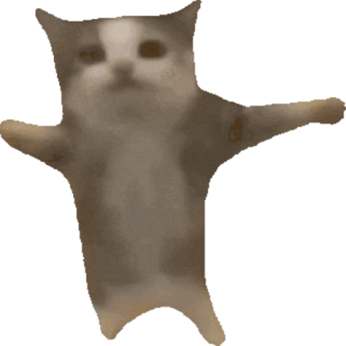 an image of a cat that is standing up