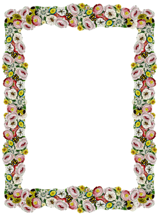 a floral frame on a white background