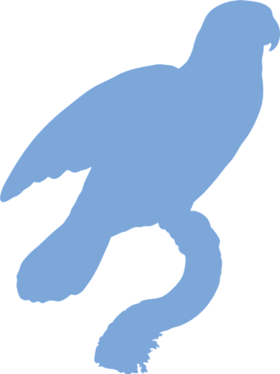 a silhouette of a bird on a white background