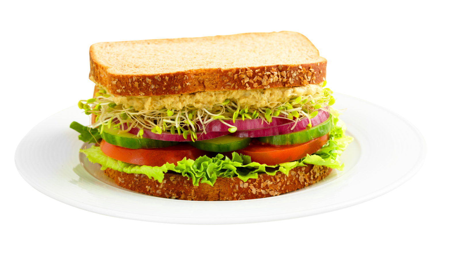 a white plate with a sandwich on it