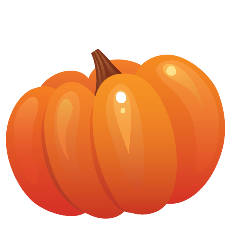 an orange pumpkin on a white background
