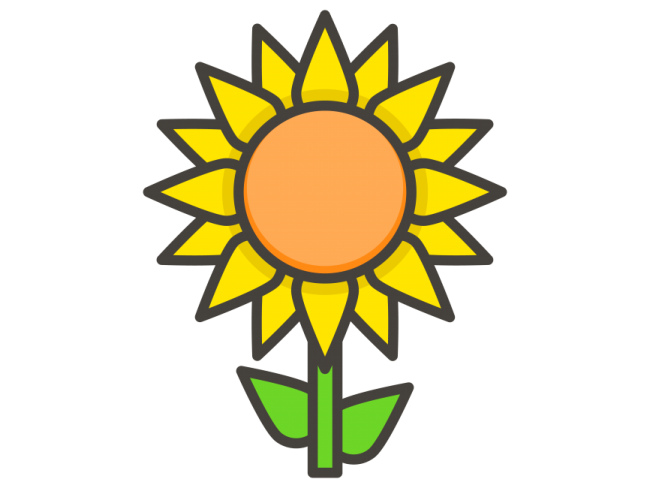 a yellow sunflower with green leaves