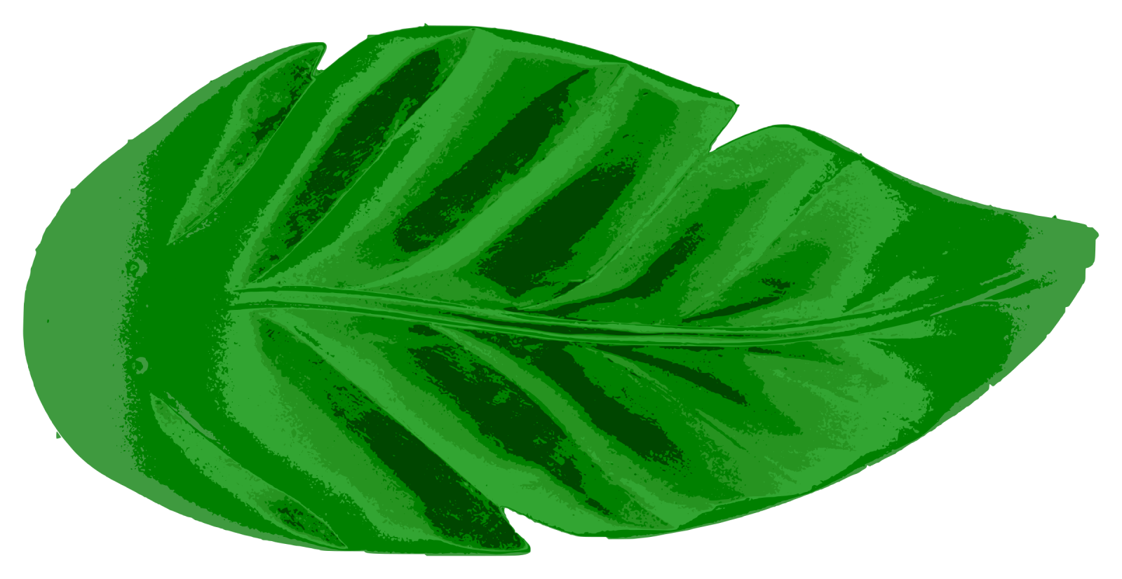 a green leaf