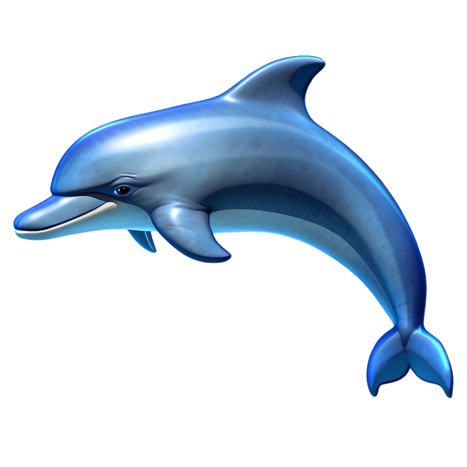 a dolphin jumping out of the water