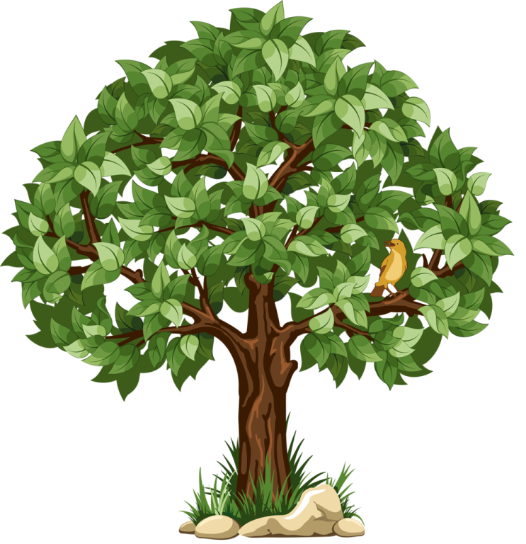 a tree with green leaves on a white background