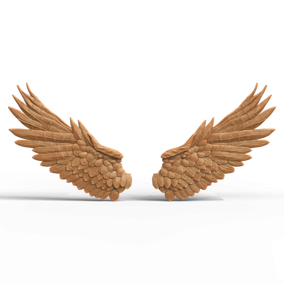 two wooden wings on a white background
