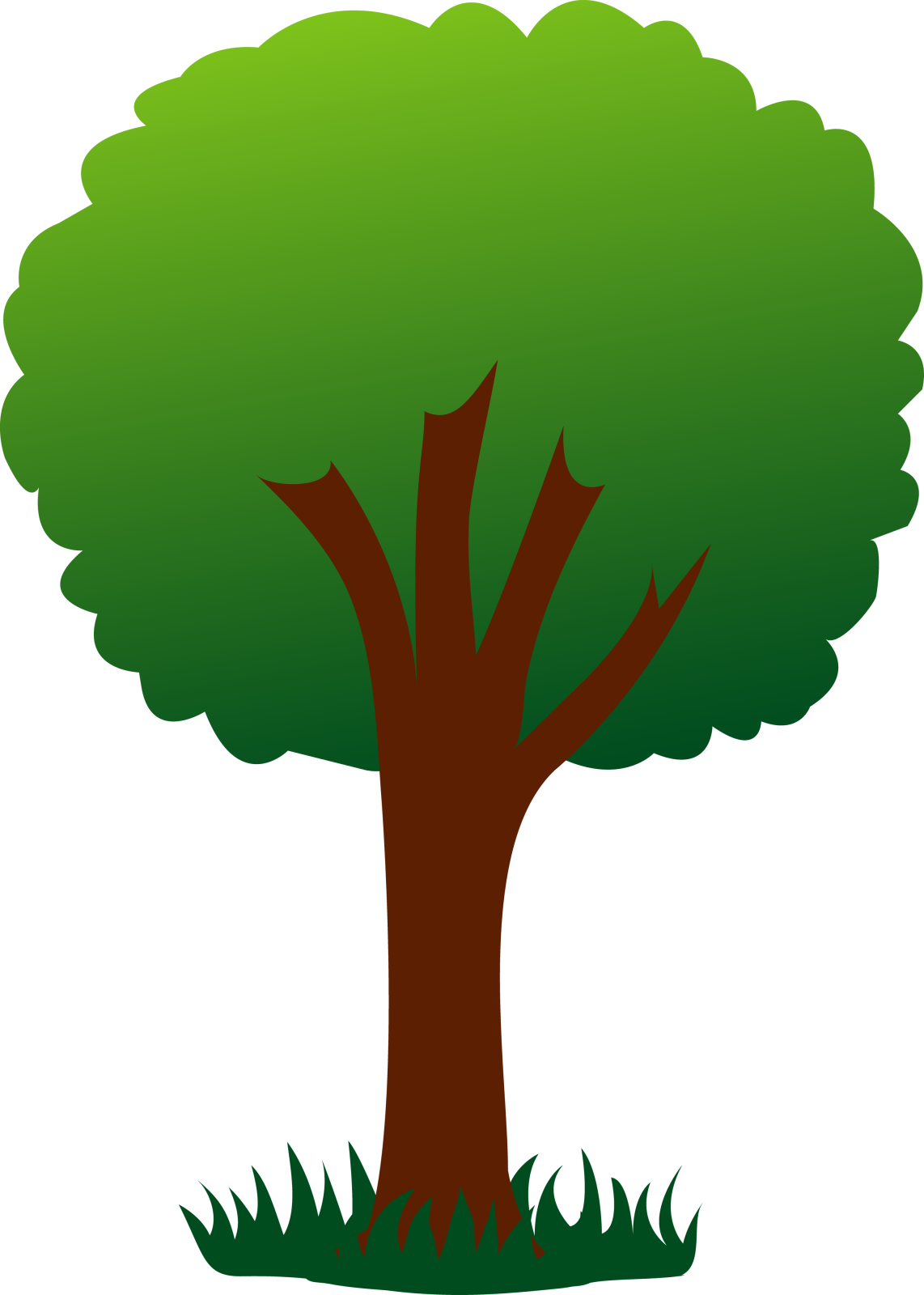 a tree with green leaves