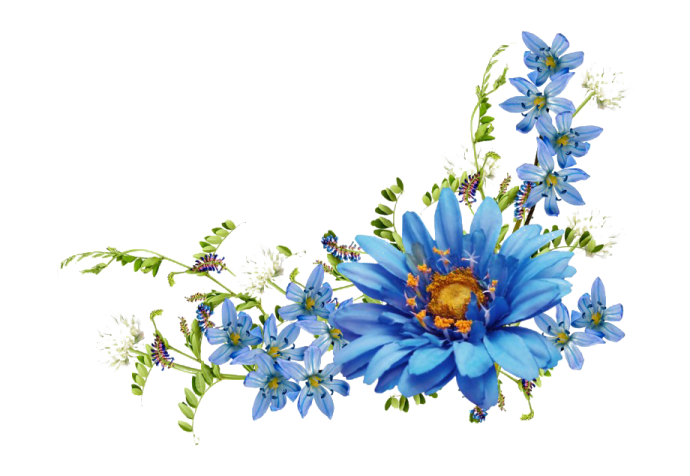 blue flowers on a white background