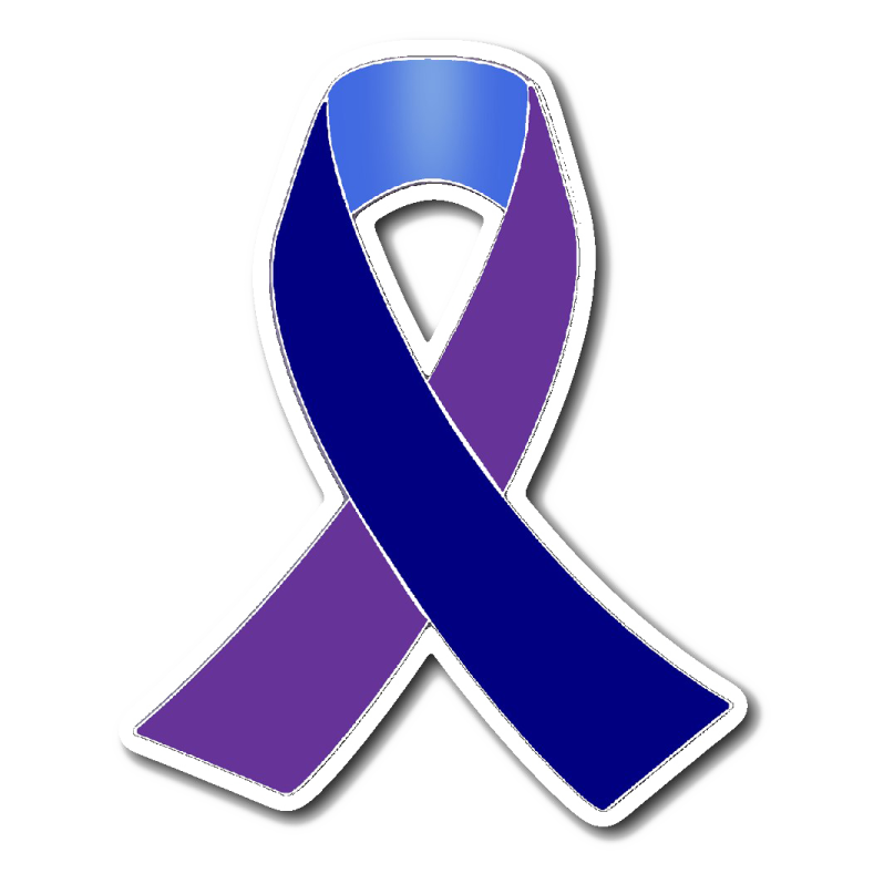 a purple and blue ribbon on a white background