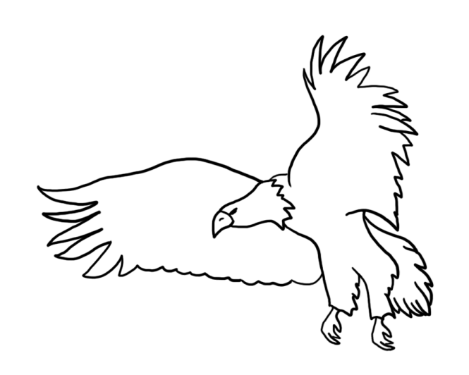 how to draw an eagle