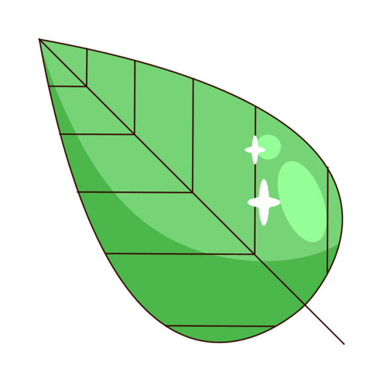 an illustration of a green leaf