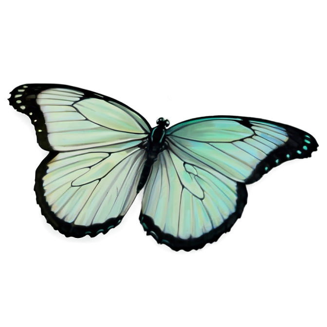 a green butterfly on a white background