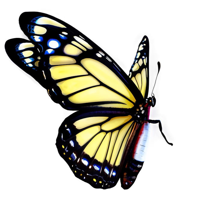 a yellow butterfly on a white background