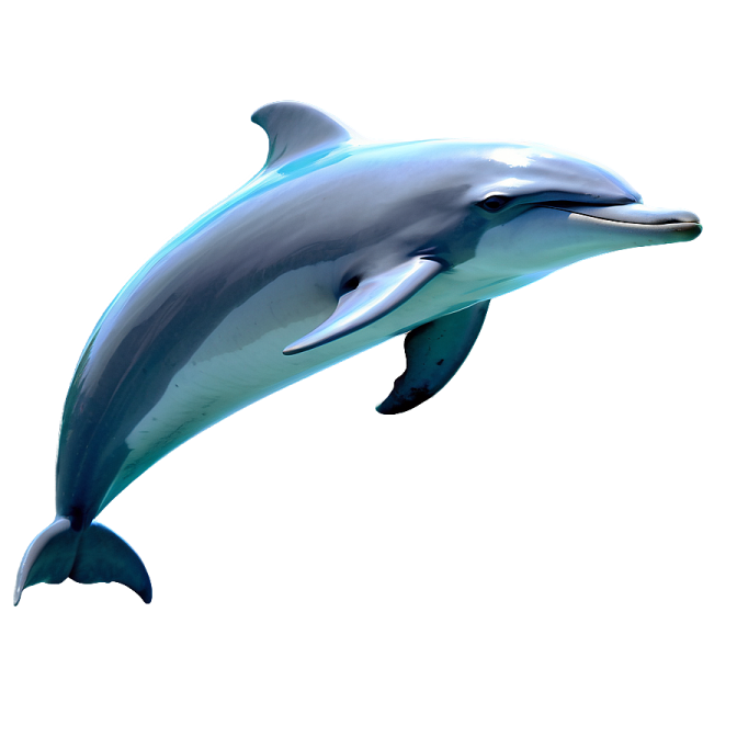 a dolphin jumping in the air on a white background