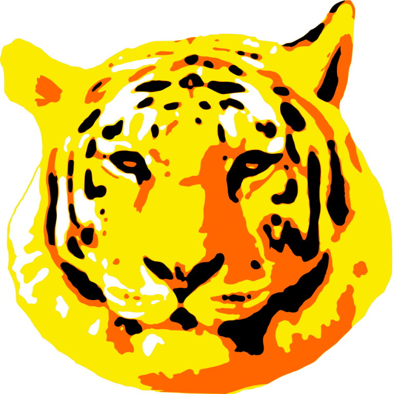the head of a tiger