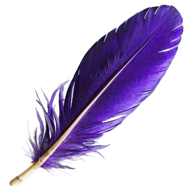 a purple feather on a white background