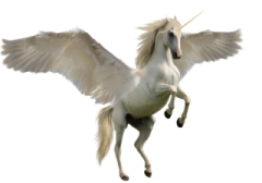 an image of a white unicorn with wings