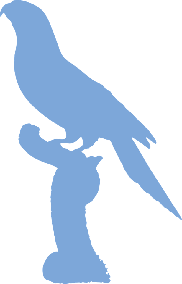 a bird sitting on top of a person's hand
