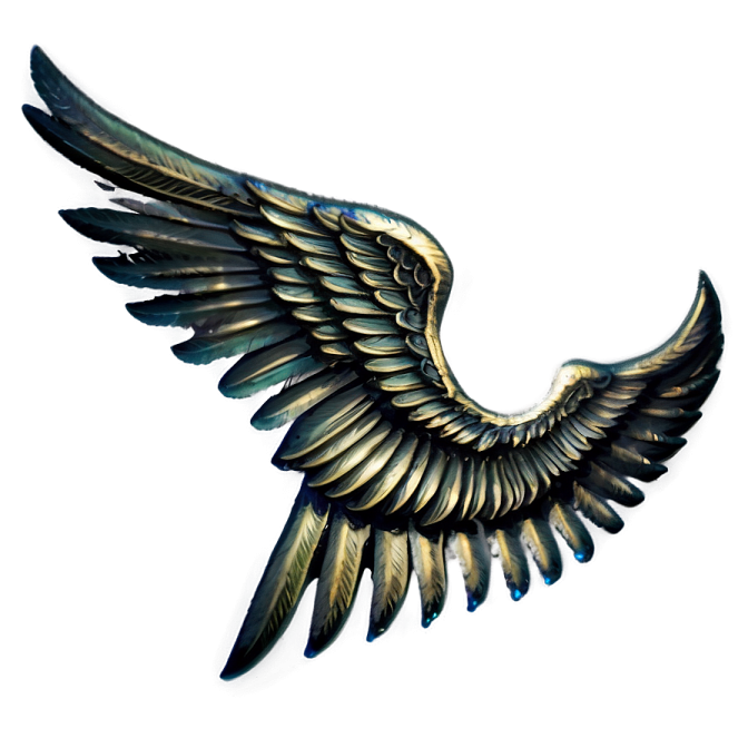 a black bird with its wings spread