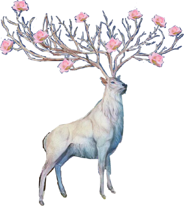 a white deer with pink flowers on it's ant