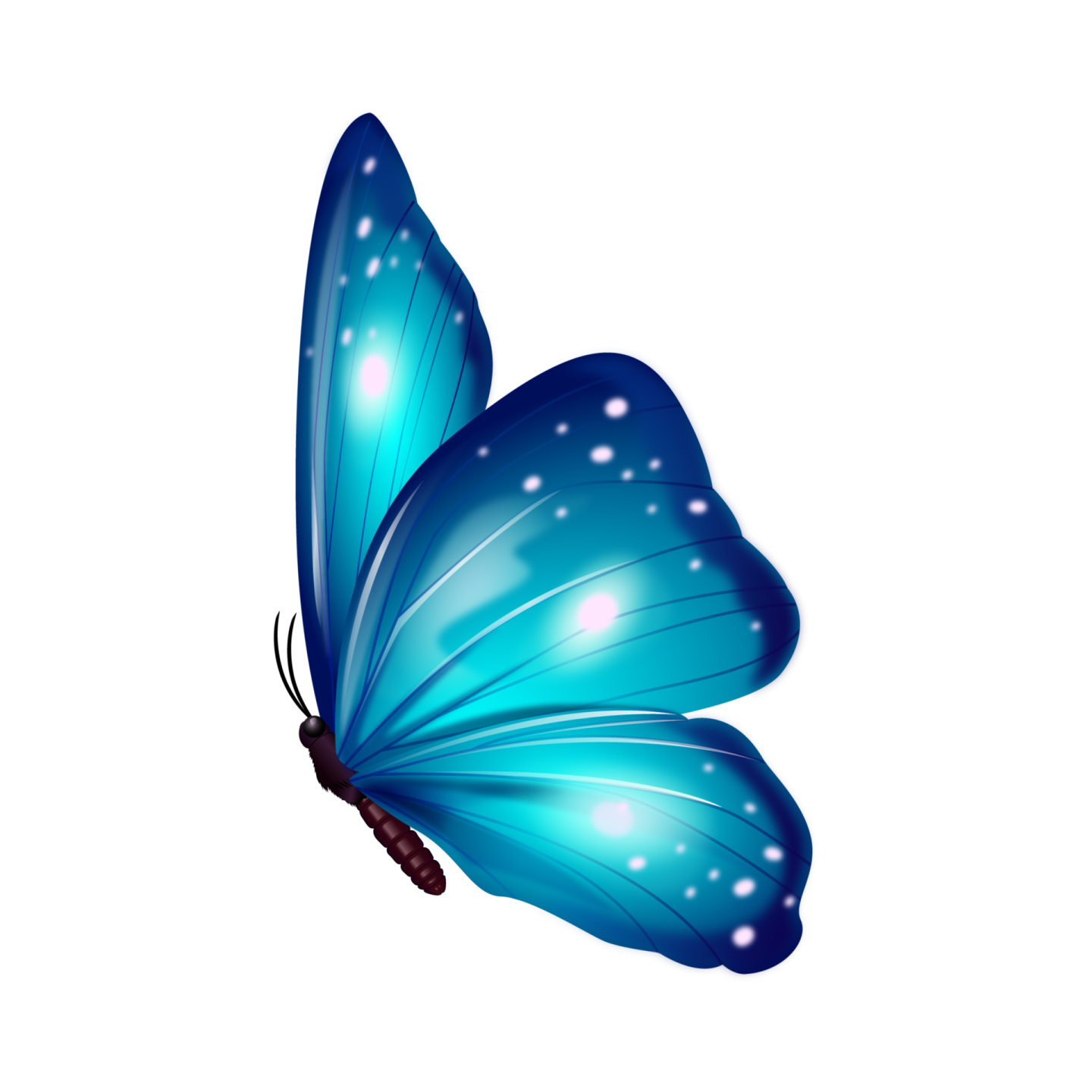 a blue butterfly on a white background