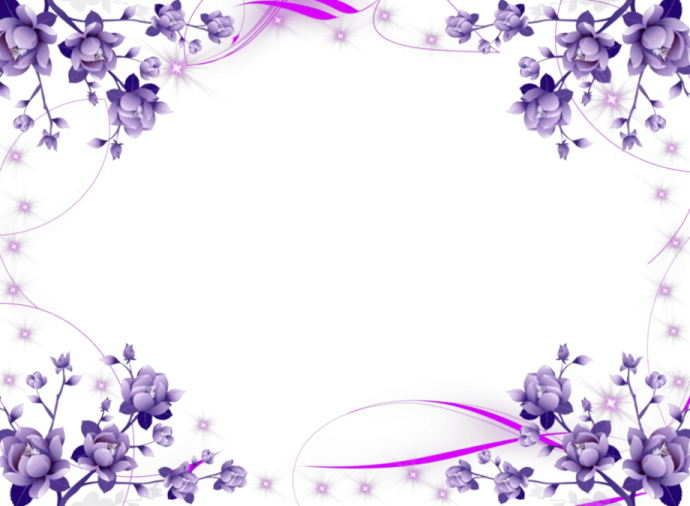 a white background with purple flowers and leaves