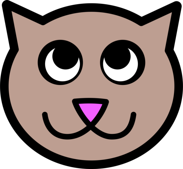 a brown cat's face with big eyes