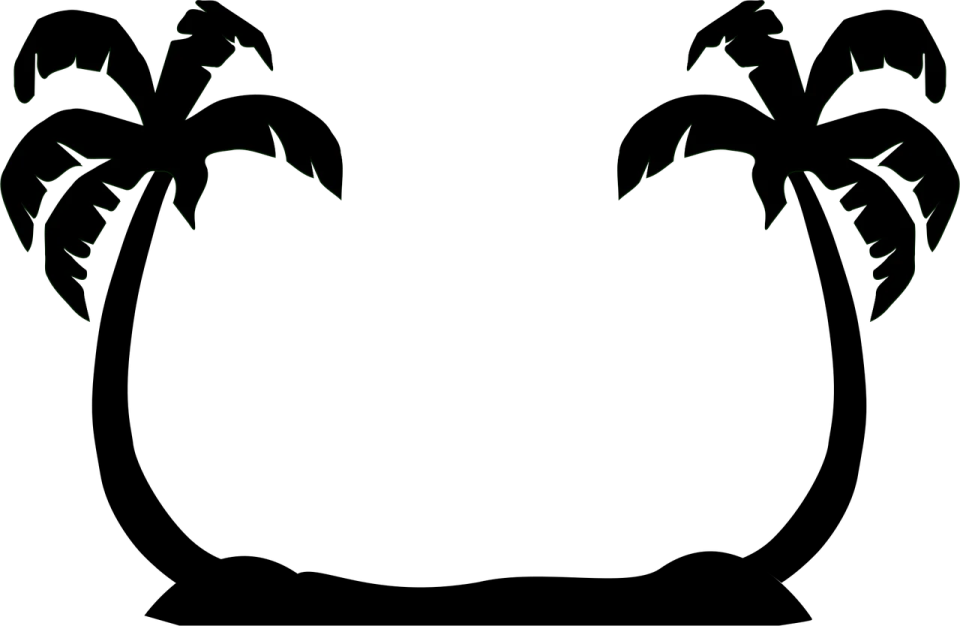 a palm tree silhouetted against a white background