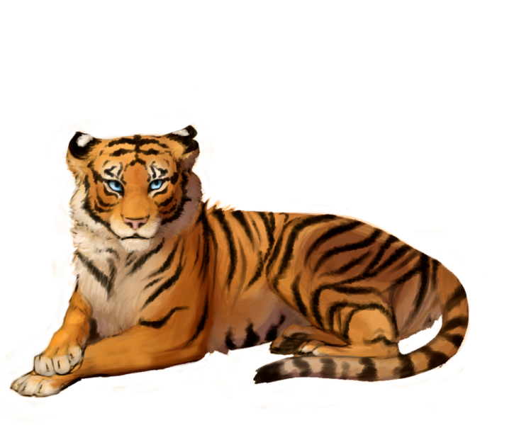 a drawing of a tiger laying down