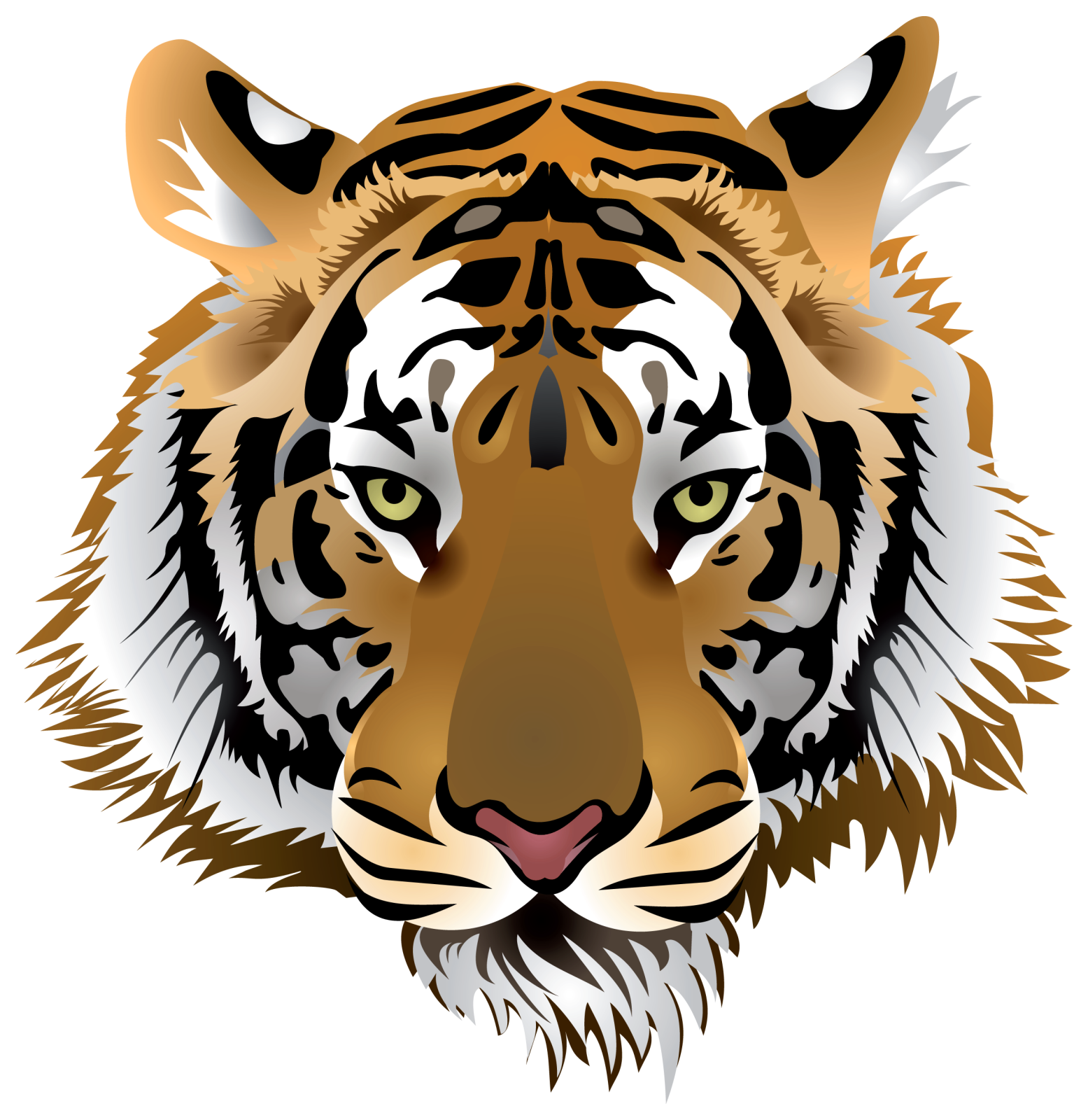a close up of a tiger's face