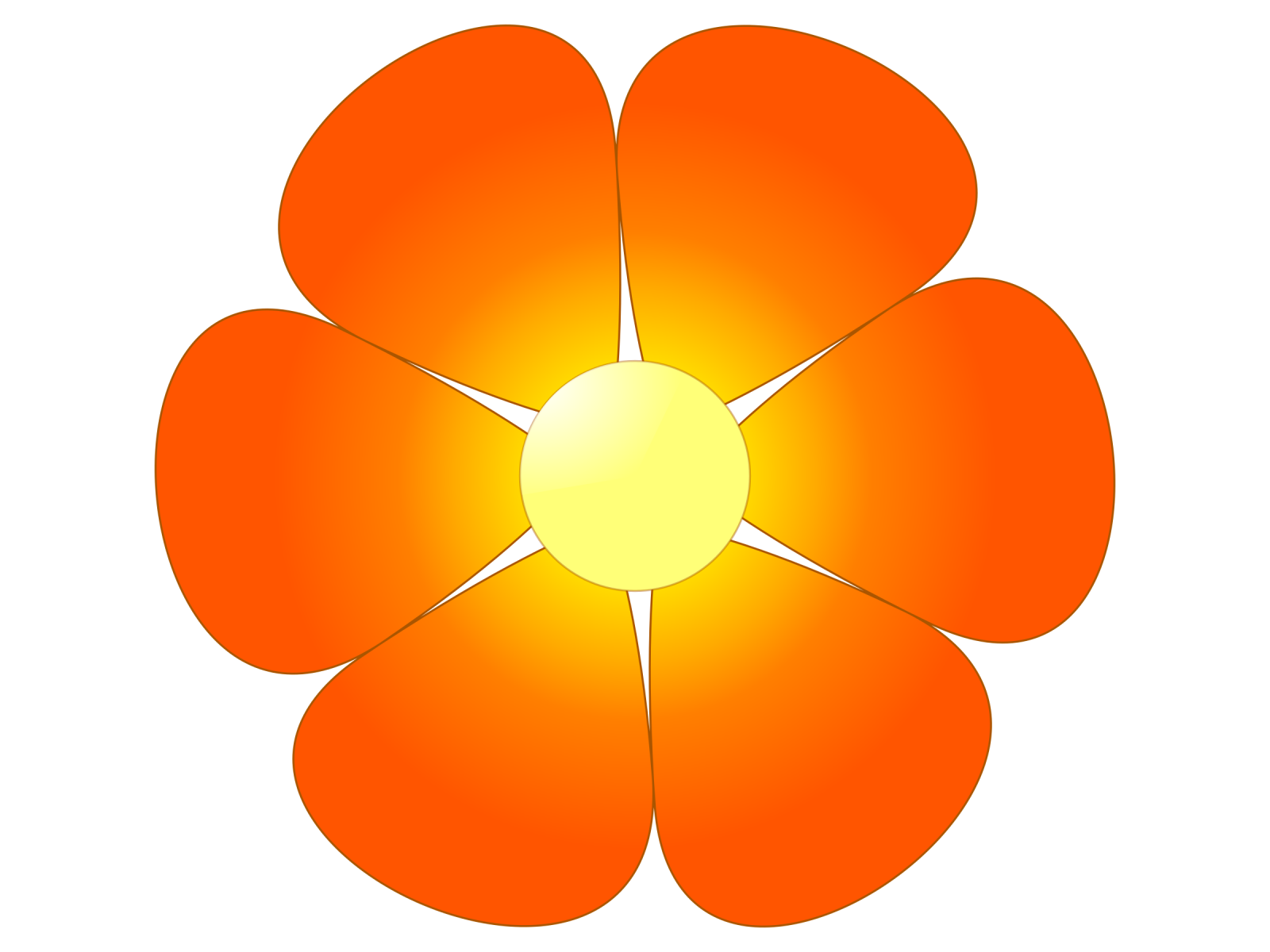 an orange flower on a white background