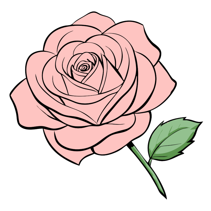 a pink rose flower with green leaves