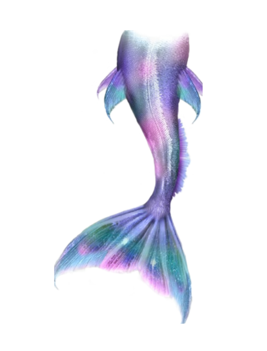 a drawing of a mermaid tail on a white background