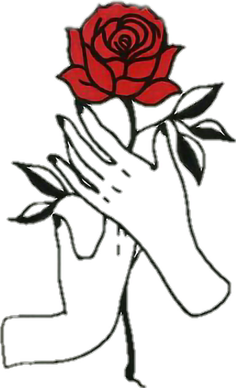 a drawing of a hand holding a red rose
