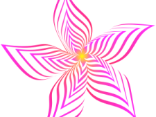 a purple flower on a white background