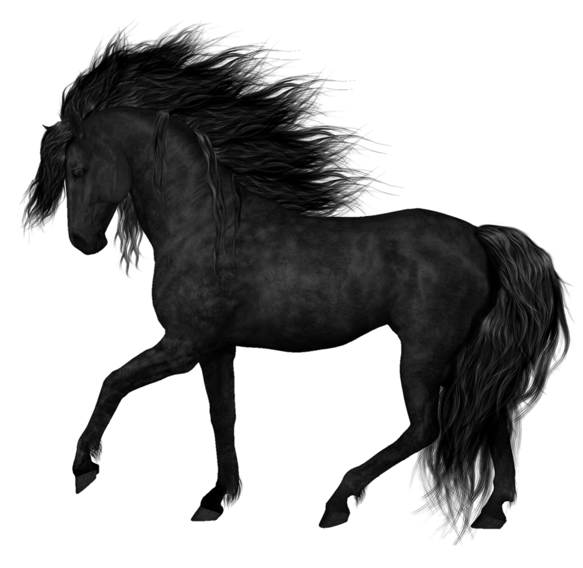 a black horse running on a white background