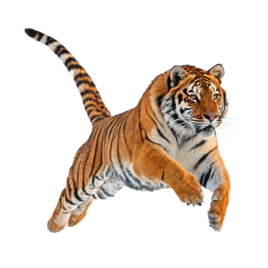 a tiger jumping in the air