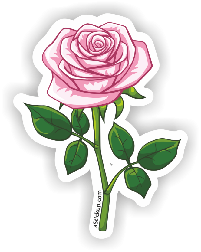 a pink rose sticker on a white background