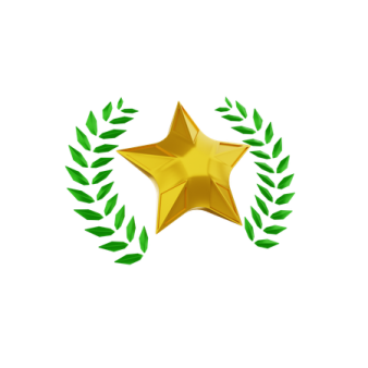 a gold star with green leaves around it