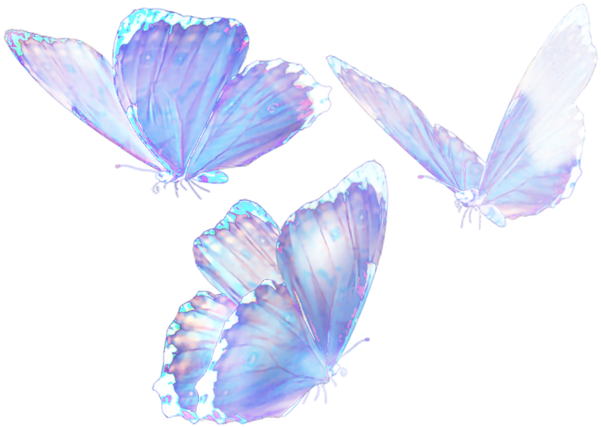 three blue butterflies on a white background